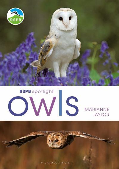 Owls