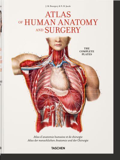 Atlas of Human Anatomy and Surgery