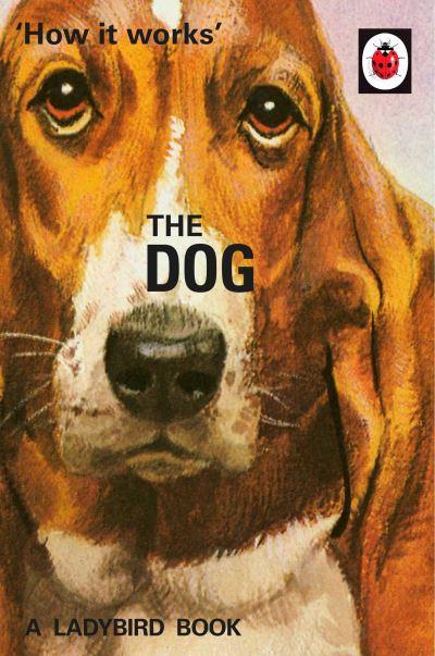 The Dog