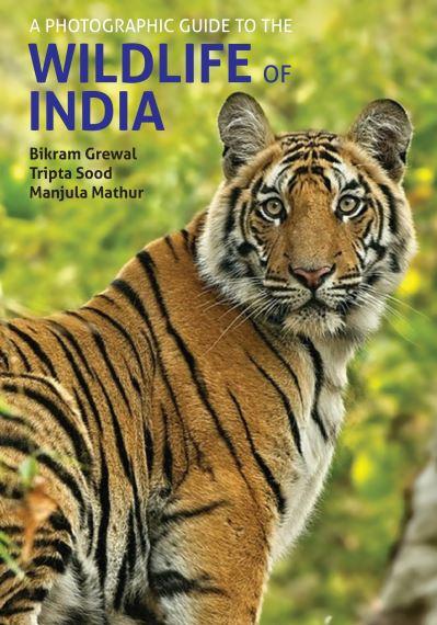 A Photographic Guide To the Wildlife of India