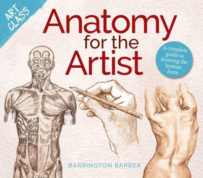 Anatomy For the Artist