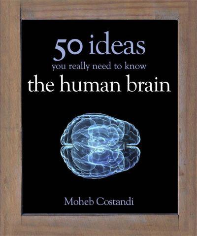 The Human Brain