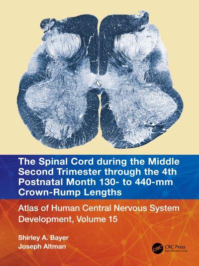 The Spinal Cord During the Third Trimester Through the 4th Postnatal Month - 130 To 440 Mm