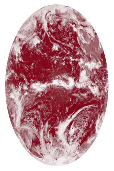 Tools For Extinction