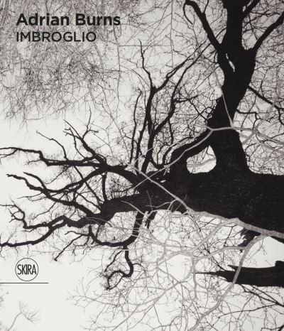 Imbroglio