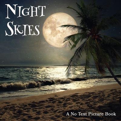 Night Skies, A No Text Picture Book
