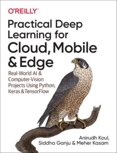 Practical Deep Learning For Cloud and Mobile, and Edge