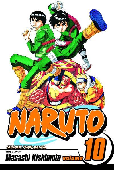 A Splendid Ninja