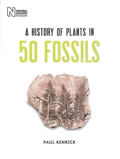 A History of Plants in 50 Fossils