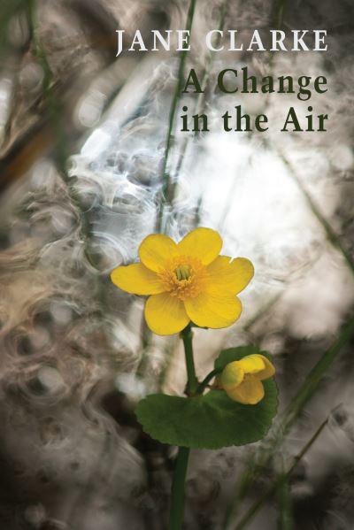 A Change In The Air P/B