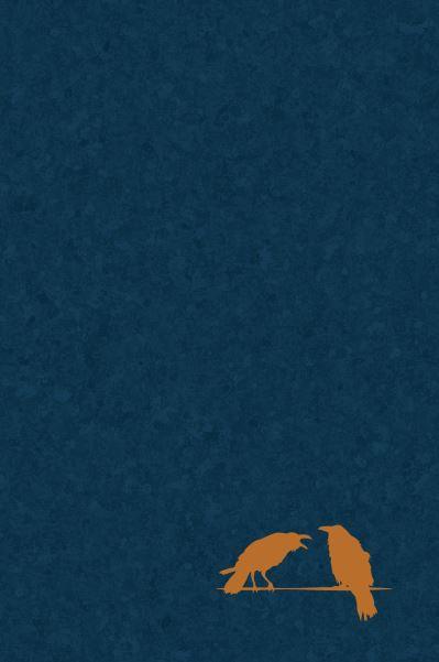The Wanderer's Journal