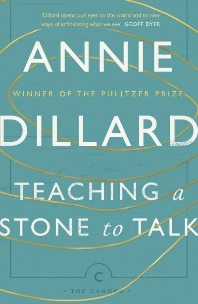 Teaching a Stone To Talk