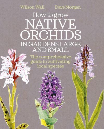 How To Grow Native Orchids in Gardens Large and Small
