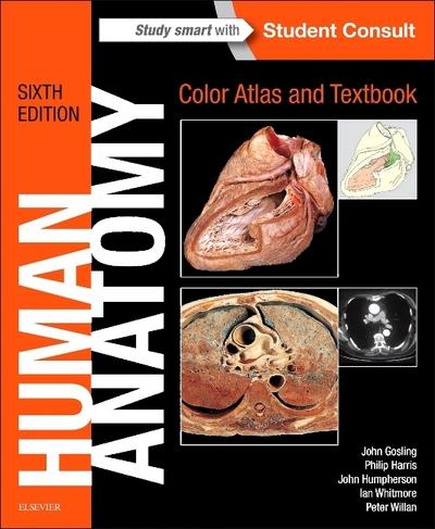 Human Anatomy