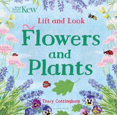 Flowers and Plants