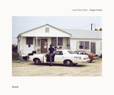 Joel Sternfeld - Nags Head