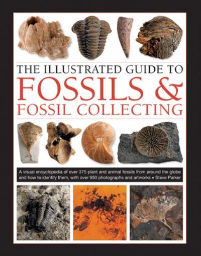 The Illustrated Guide To Fossils & Fossil Collecting