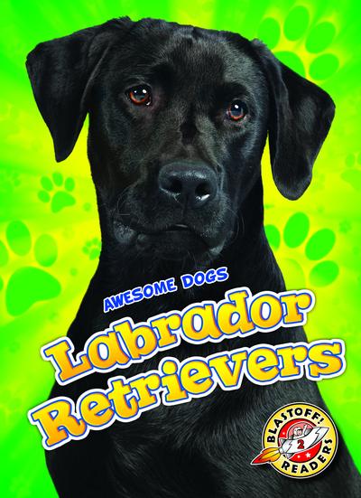 Labrador Retrievers
