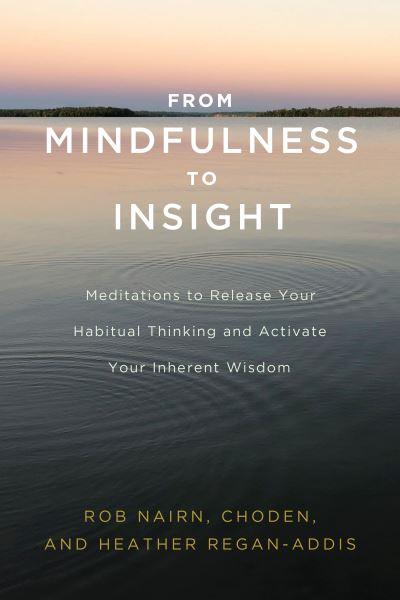 From Mindfulness To Insight