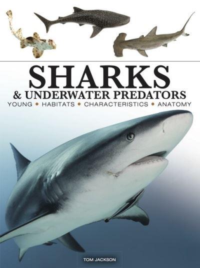 Sharks &#38; Underwater Predators
