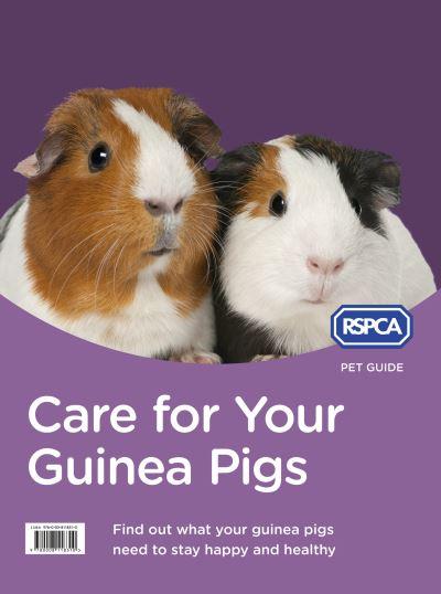 Care For Your Guinea Pig