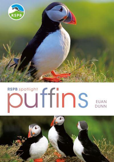 Puffins