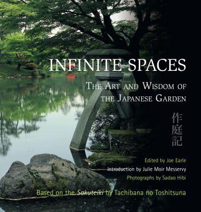 Infinite Spaces