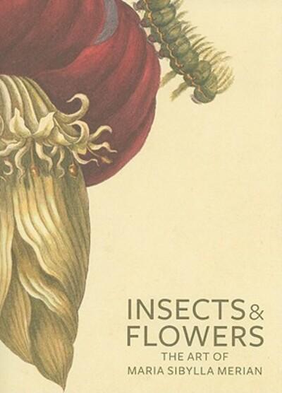Insects & Flowers