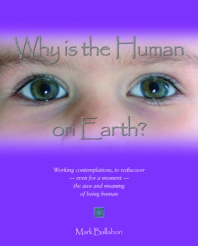 Why Is the Human on Earth?
