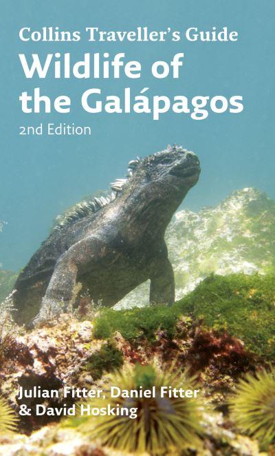 Wildlife of the Galapagos