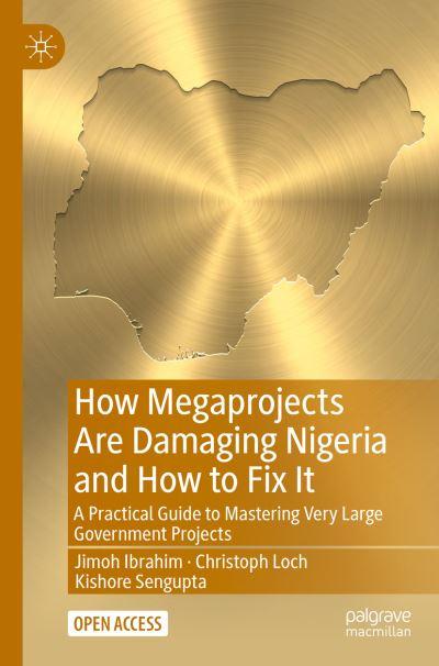 How Megaprojects Are Damaging Nigeria and How To Fix it