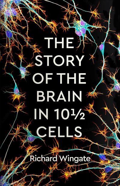The Story of the Brain in 10 1/2 Cells