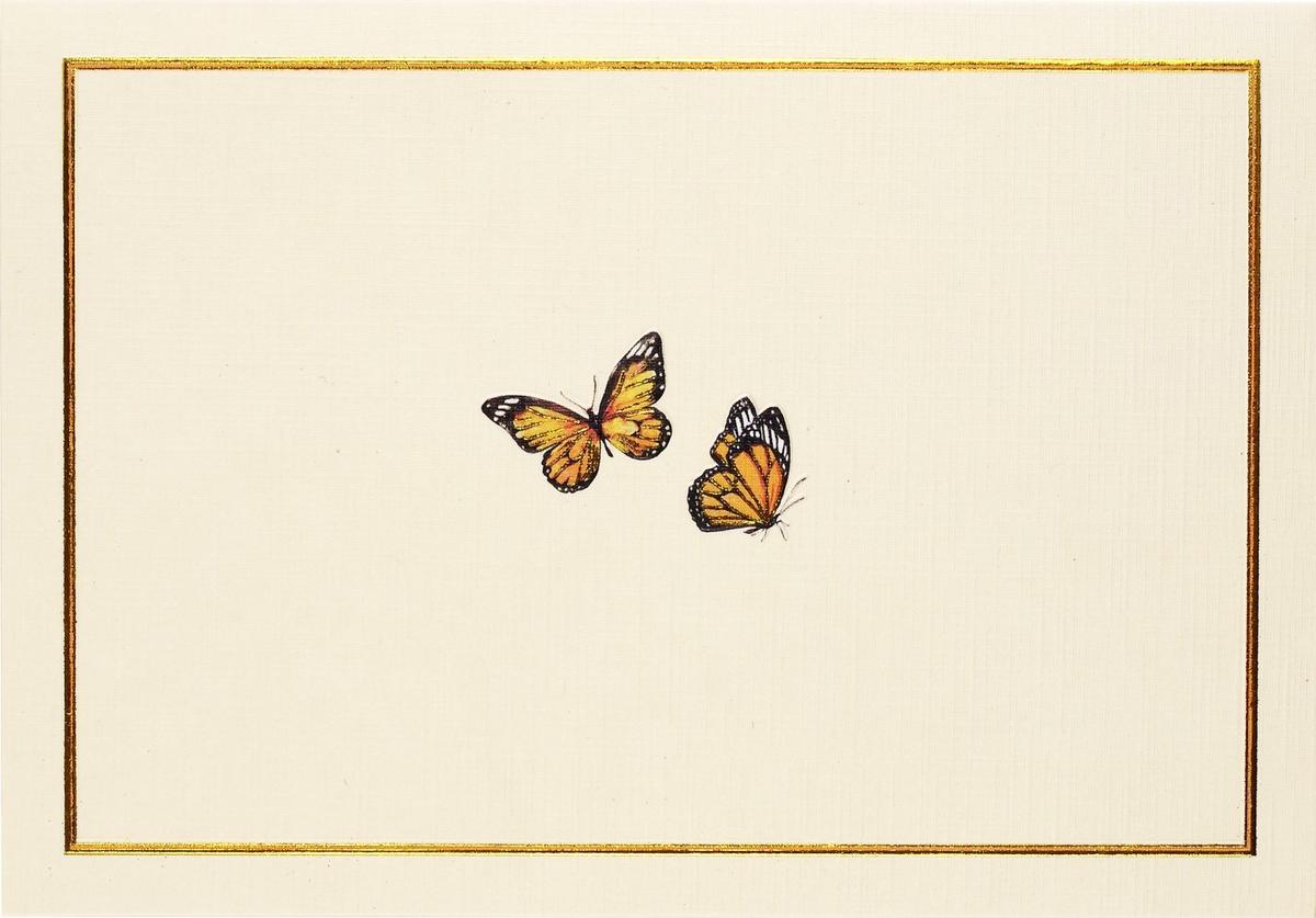 Peter Pauper 14 Pack Note Cards  Monarch Butterflies
