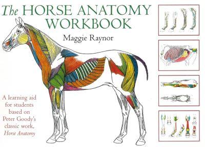 The Horse Anatomy Workbook