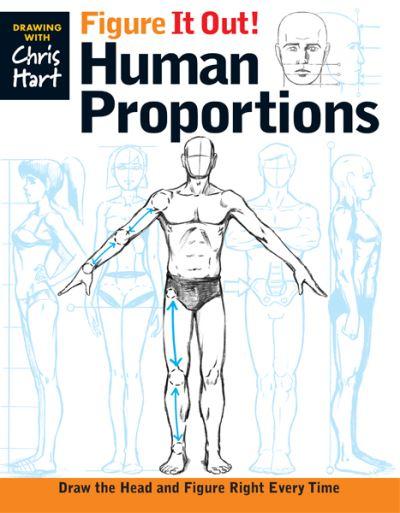 Figure it Out! Human Proportions