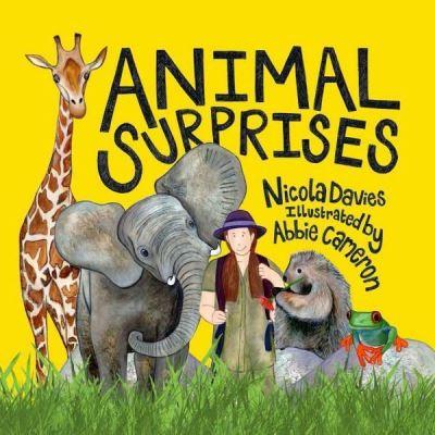 Animal Surprises!