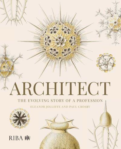 Architect