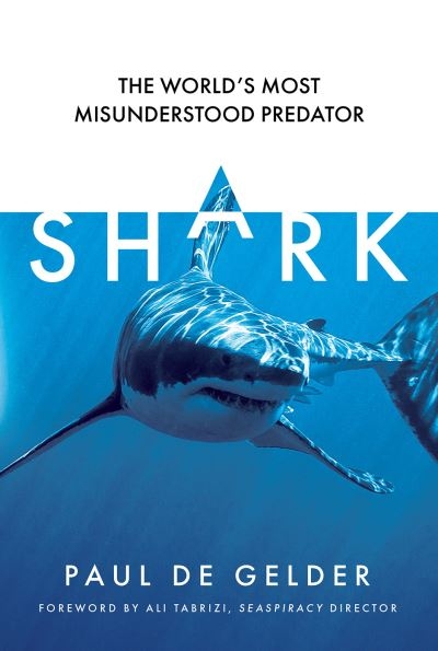 Shark Why We Need To Save The Worlds Most Misunderstood Pred