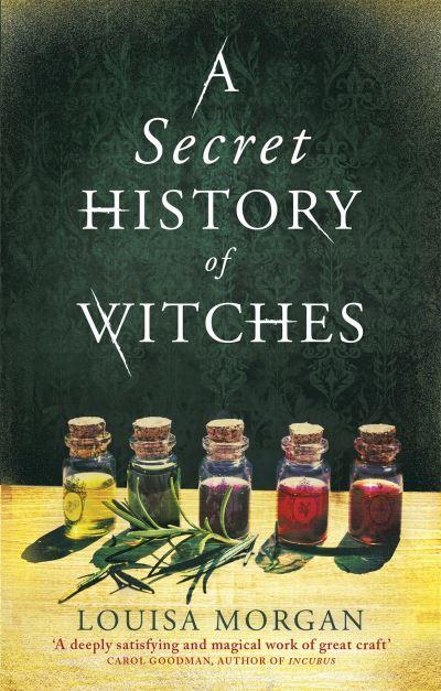 A Secret History Of Witches P/B