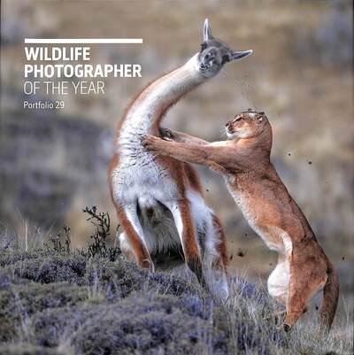 Wildlife Photographer of the Year. Portfolio 29