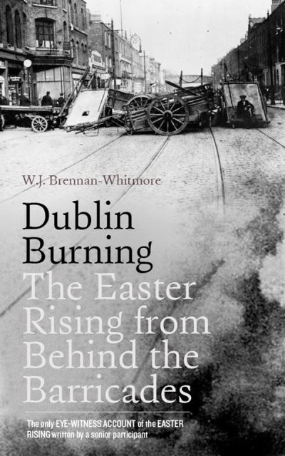 Dublin Burning
