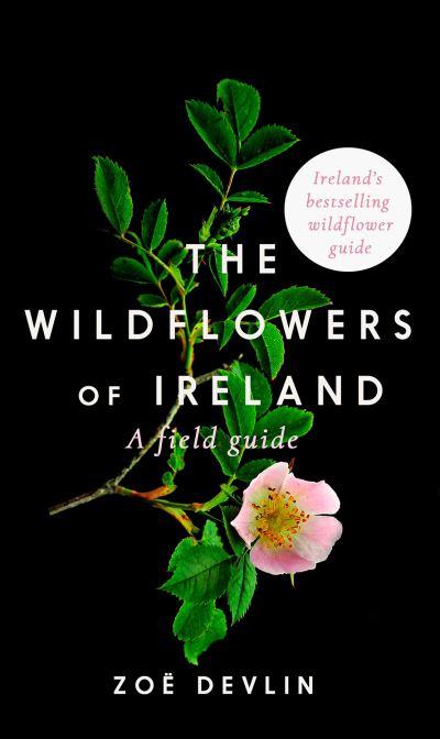 Wildflowers Of Ireland P/B