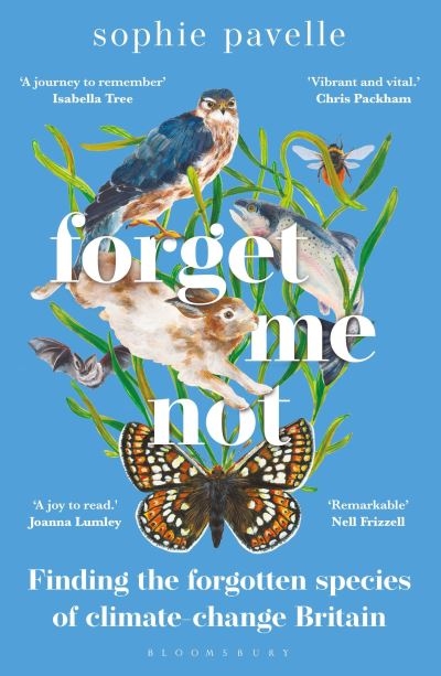 Forget Me Not P/B