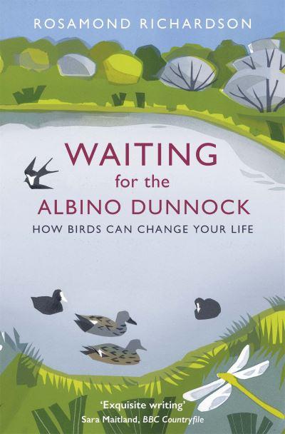 Waiting For the Albino Dunnock