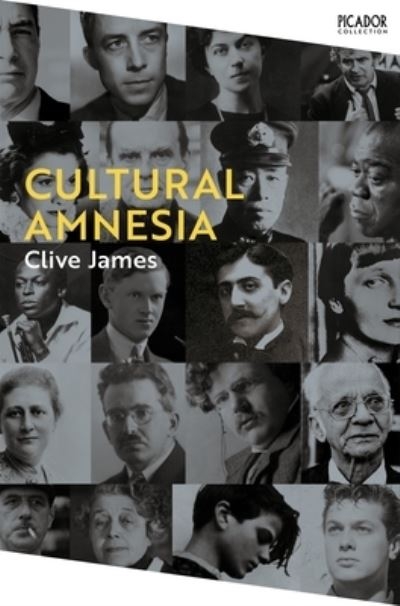Cultural Amnesia P/B