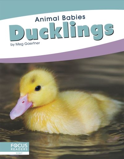 Ducklings