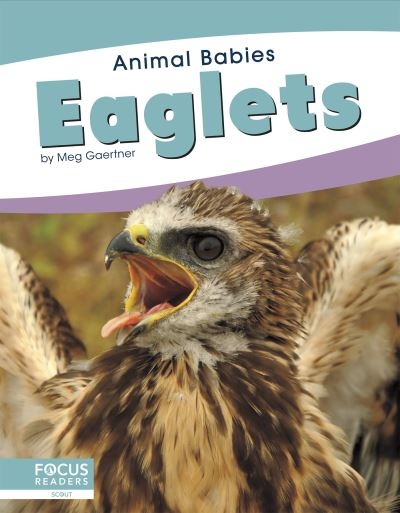 Eaglets