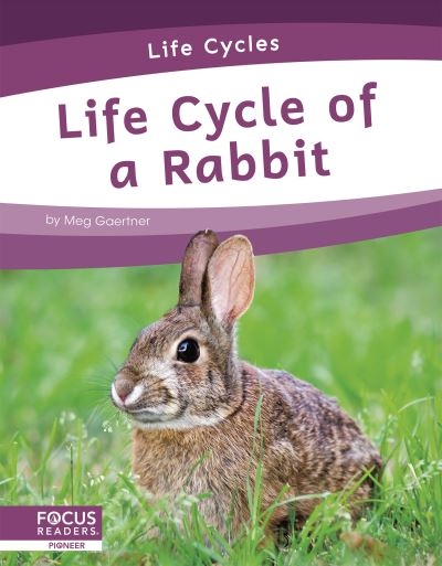 Life Cycle of a Rabbit