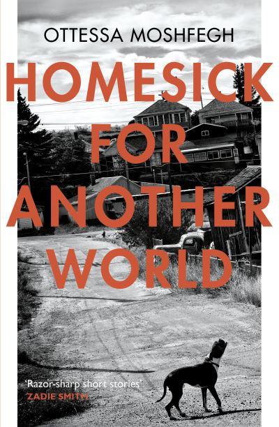 Homesick For Another World P/B