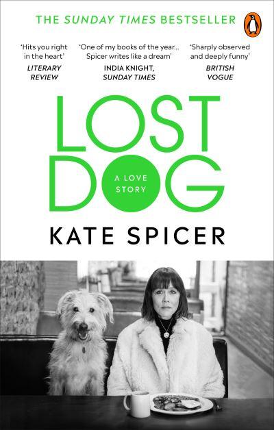 Lost Dog A Love Story P/B